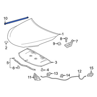Toyota OE - Left Hood Lift Support