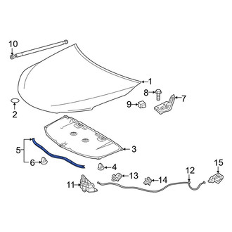 Toyota OE - Hood Seal