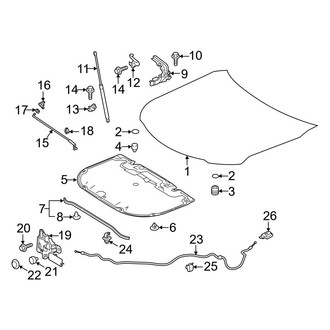 Toyota OE - Hood & Components (USA Built)