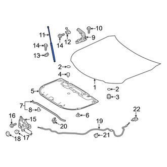 Toyota OE - Right Hood Lift Support