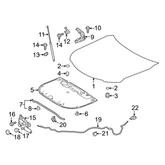Toyota OE - Hood & Components (Japan Built)