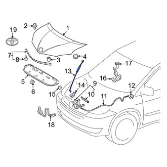 Toyota OE - Front Hood & Trunk Prop Rod