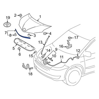 Toyota OE - Front Hood Seal