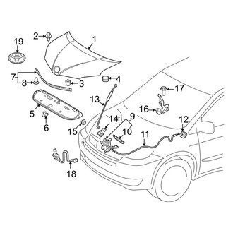 Toyota OE - Hood & Components