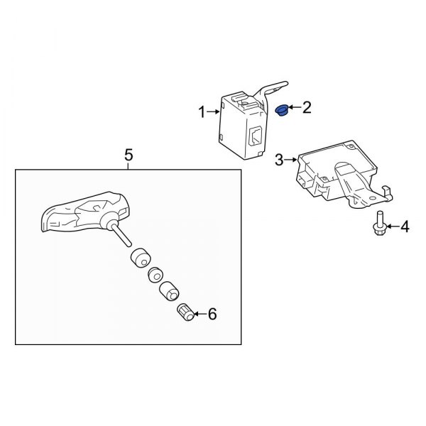 Tire Pressure Monitoring System (TPMS) Control Module Nut