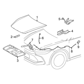 Toyota OE - Hood & Components