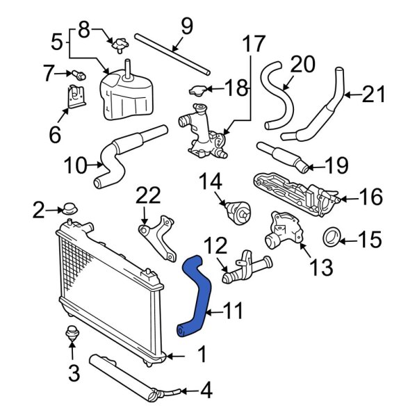 Radiator Coolant Hose