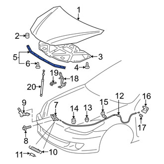 Toyota OE - Front Hood Seal