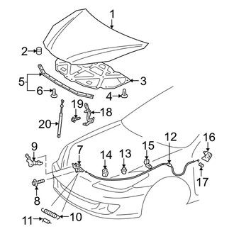 Toyota OE - Hood & Components