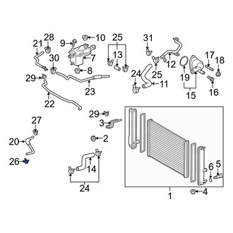 Toyota OE - Radiator Hose Clamp