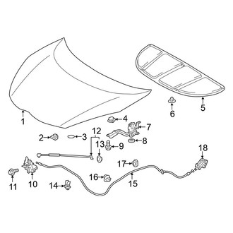 Toyota OE - Hood & Components