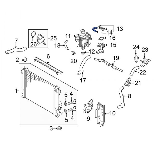 Engine Coolant Reservoir Hose