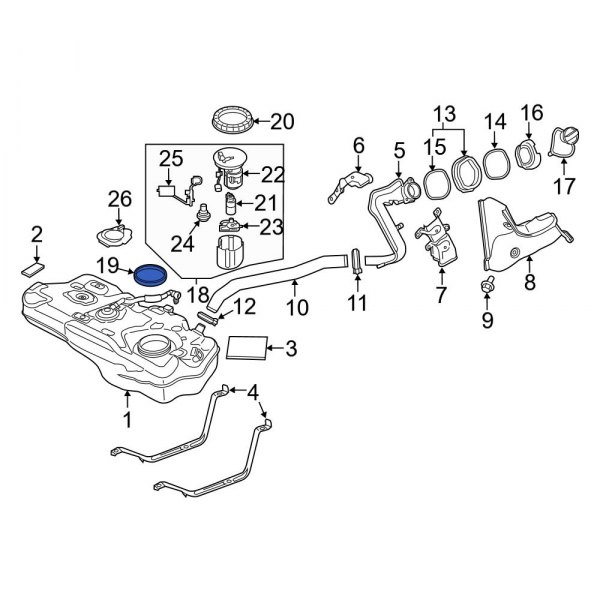 Fuel Pump Tank Seal