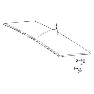 Toyota OE - Roof - Exterior Trim (With Panoramic Roof)