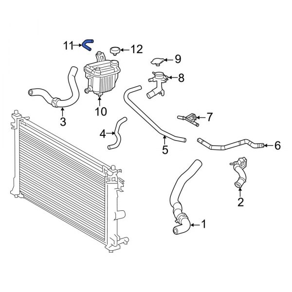 Engine Coolant Reservoir Hose