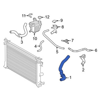 Toyota OE - Right Radiator Coolant Hose