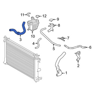 Toyota OE - Right Radiator Coolant Hose