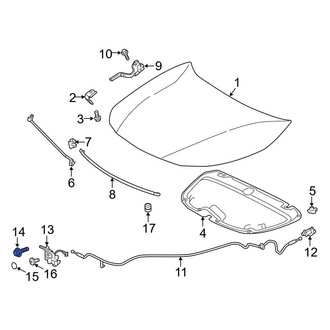 Toyota OE - Hood Latch Bolt