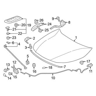 Toyota OE - Hood & Components