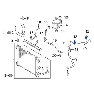 Toyota OE - Radiator Hose Clamp