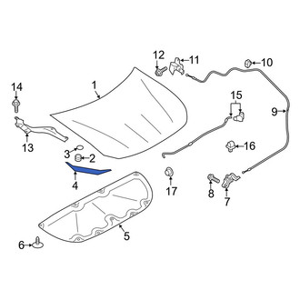 Toyota OE - Front Hood Seal