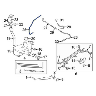 Toyota OE - Front Windshield Washer Hose