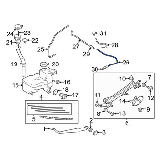 Toyota OE - Front Windshield Washer Hose
