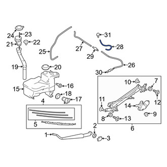 Toyota OE - Front Windshield Washer Hose