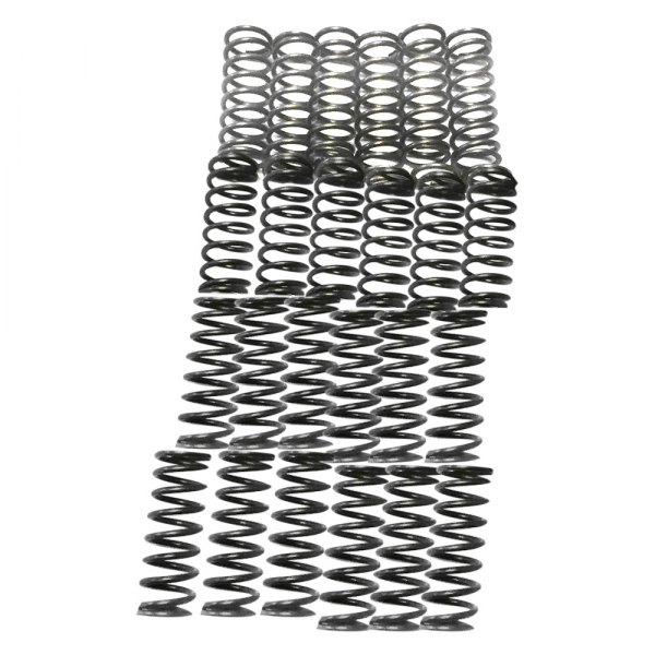 Transmission Specialties® - Automatic Transmission Clutch Drum Spring Set