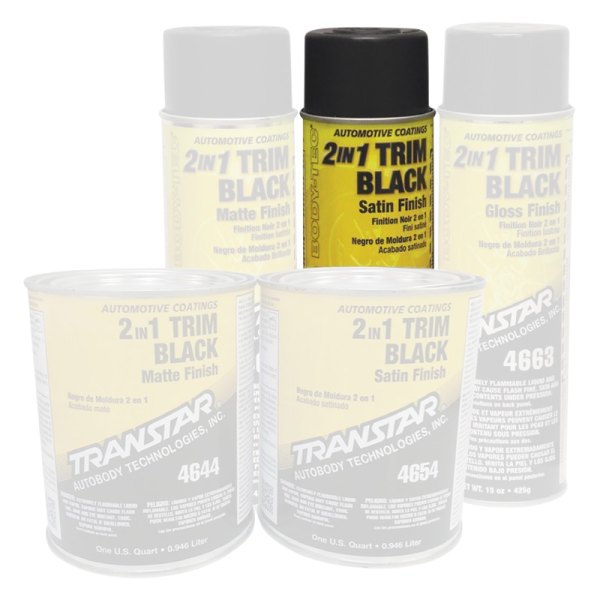 Transtar® - 2-in-1 Trim Paint