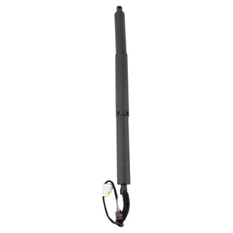 TRQ® - Liftgate Lift Support