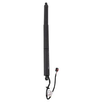 TRQ® - Liftgate Lift Support