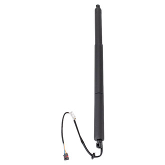 TRQ® - Liftgate Lift Support