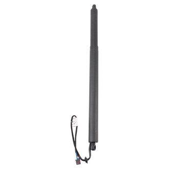 TRQ® - Liftgate Lift Support