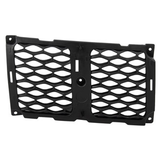 TRQ® - Passenger Side Grille Molding