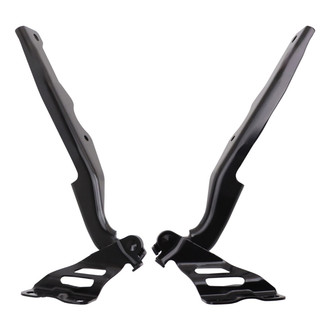 TRQ® - Hood Hinge