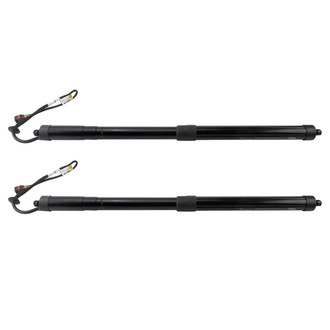 TRQ® BDA61322 - Liftgate Lift Support Set