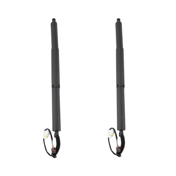 TRQ® - Liftgate Lift Support Set