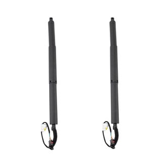 TRQ® - Liftgate Lift Support Set