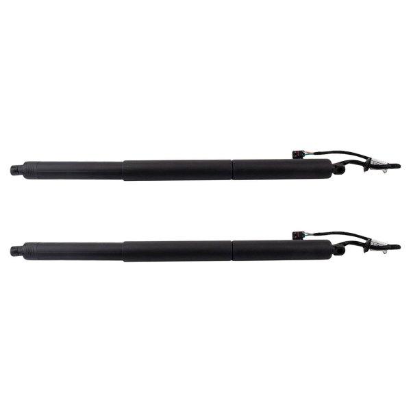 TRQ® - Liftgate Lift Support Set