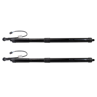 TRQ® - Liftgate Lift Support Set