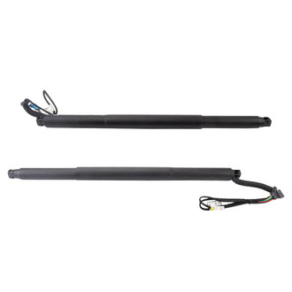 TRQ® - Liftgate Lift Support Set