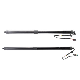 TRQ® - Liftgate Lift Support Set