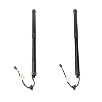 TRQ® - Liftgate Lift Support