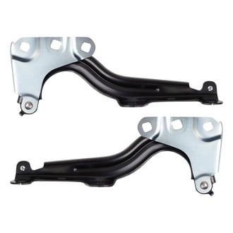 TRQ® - Hood Hinge