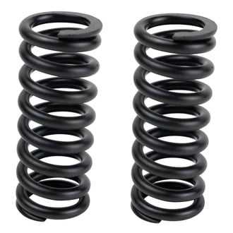 TRQ® - Door Hinge Spring