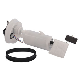 TRQ® - Fuel Pump and Sender Assembly