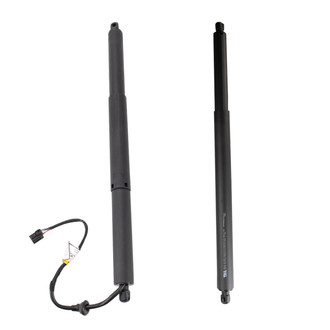 TRQ® - Driver and Passenger Side Liftgate Lift Support Set