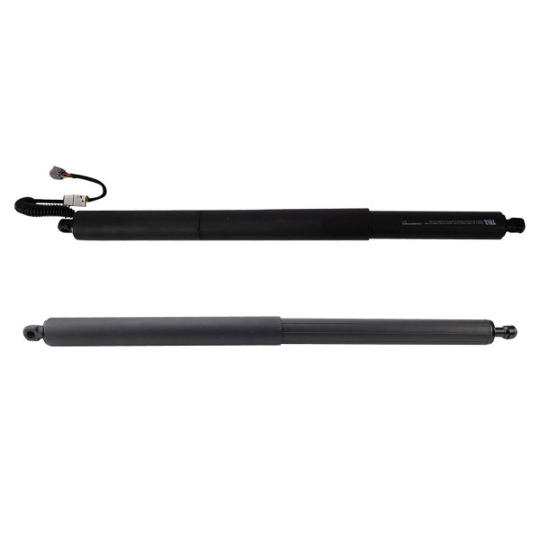 TRQ® - Driver and Passenger Side Liftgate Lift Support Set