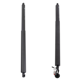 TRQ® - Liftgate Lift Support